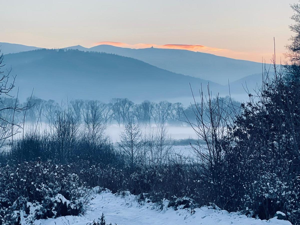 Appartamento Oh Deer! Jelenia Góra Esterno foto